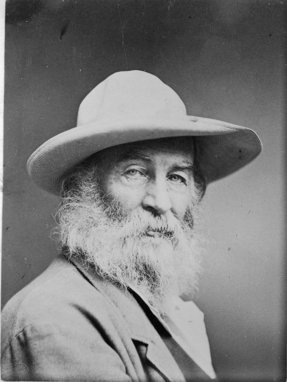 Vintage Photo from 1870 Walt Whitman Photograph